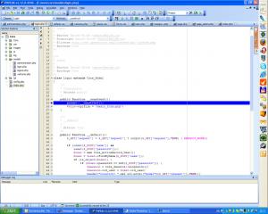 Debugger