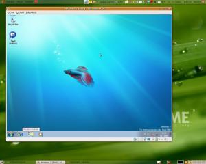 Windows Seven pod Ubuntu 8.10